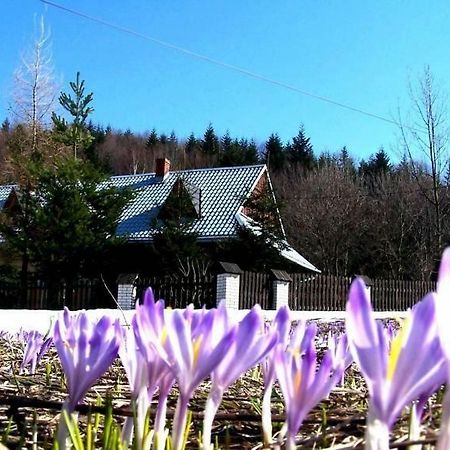 Goralska Czarcia Chata Pod Jalowcem Stryszawa ภายนอก รูปภาพ