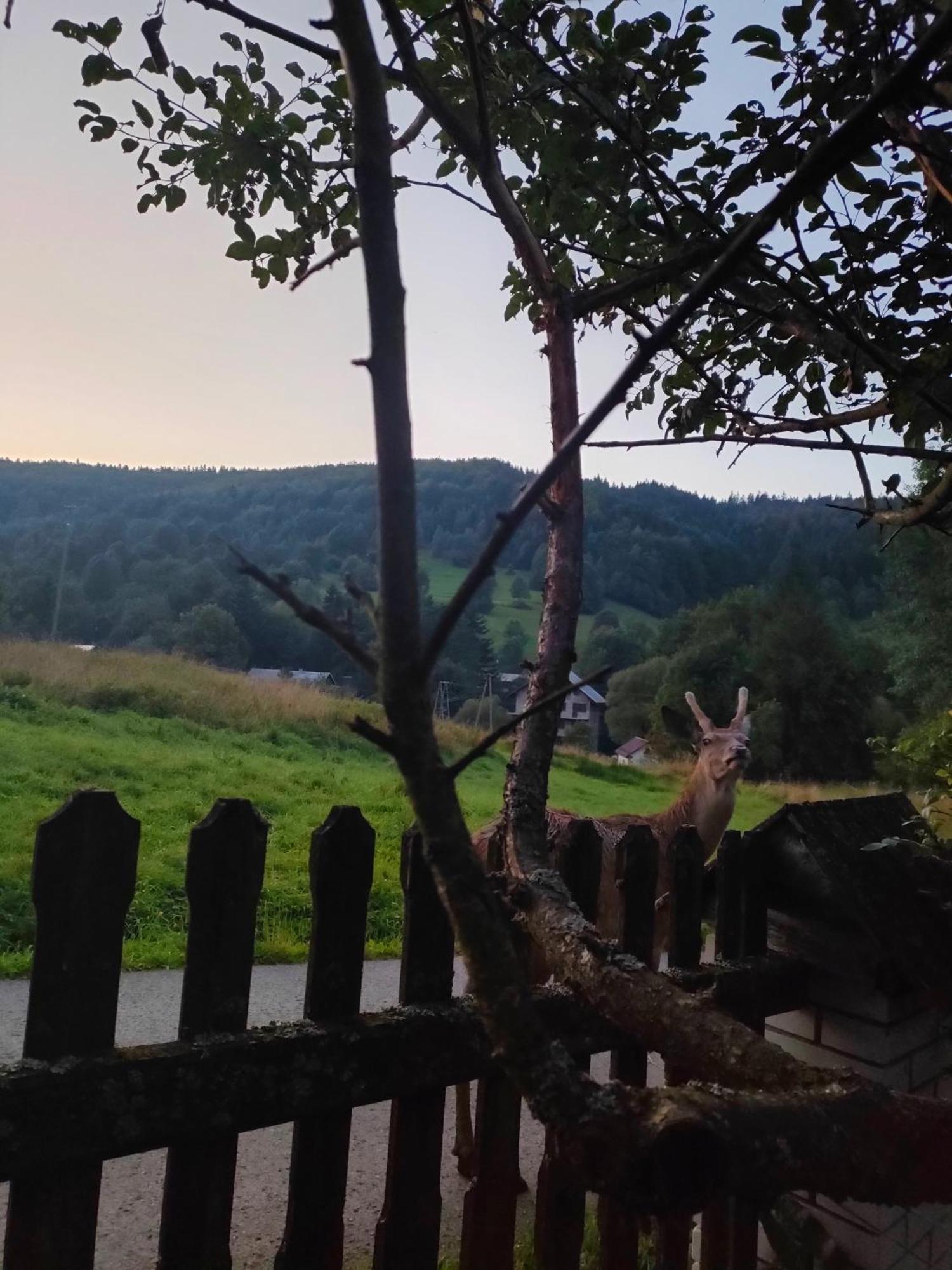 Goralska Czarcia Chata Pod Jalowcem Stryszawa ภายนอก รูปภาพ