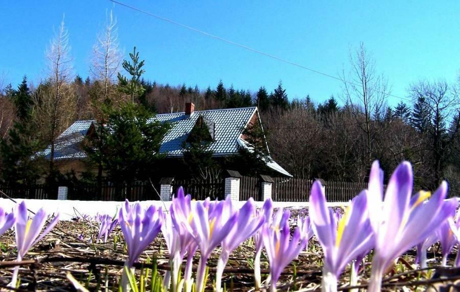 Goralska Czarcia Chata Pod Jalowcem Stryszawa ภายนอก รูปภาพ